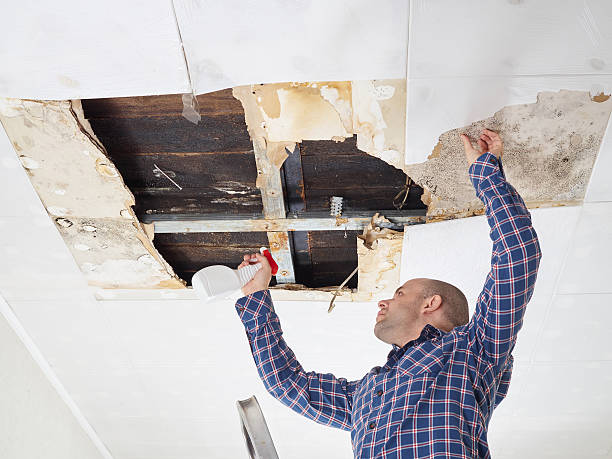 Best Mold Documentation for Insurance Claims  in Baywood, NY